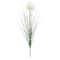 White Dandelion Stem by Ashland&#xAE;